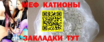 прущие грибы Новозыбков