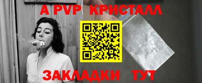 спиды Новодвинск