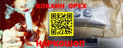 спиды Новодвинск