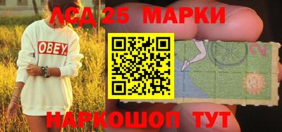 прущие грибы Новозыбков