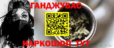 спиды Новодвинск