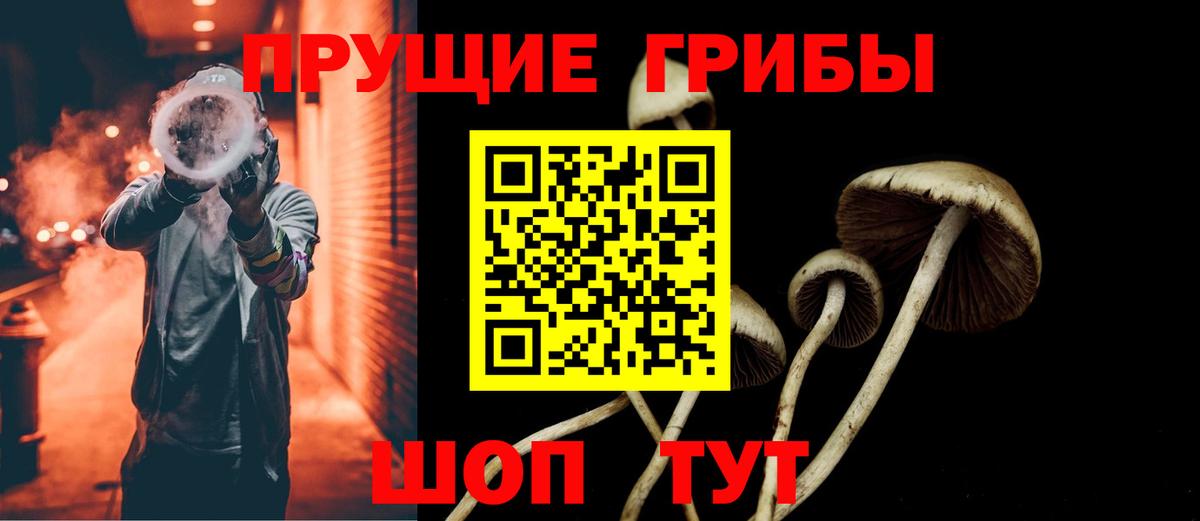 Феодосия  Псилоцибиновые грибы Psilocybe  Вход с VPN 